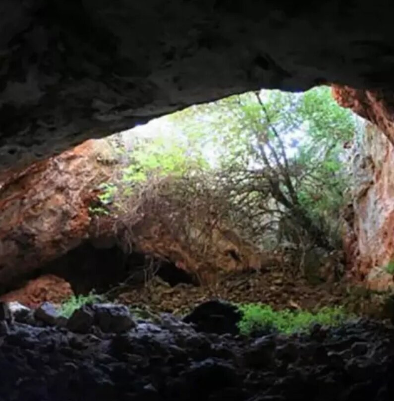 (عکس) کشف عجیب در مطالعه غارهای انسان اولیه